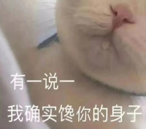 揭秘西甲焦,点战,阿拉维斯,大发彩票,大发彩票官网,dafa大发彩票官网,大发彩票官网玩家首选